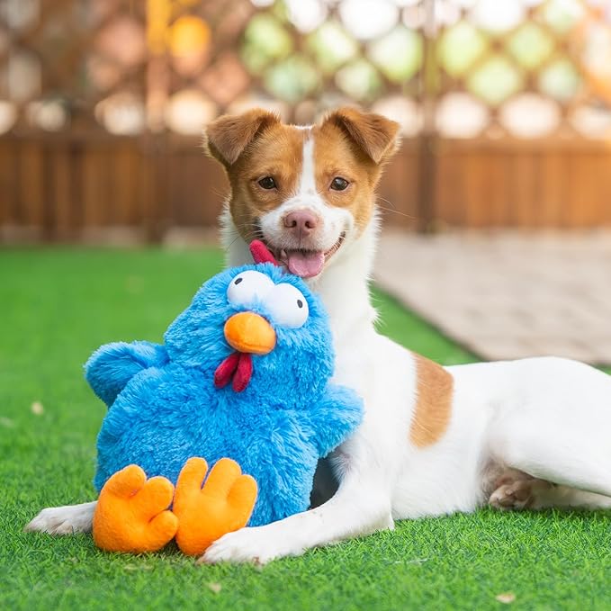 Super Cute Mrs. Cluck Squeaky Chew Toy - Blue (Under $10)