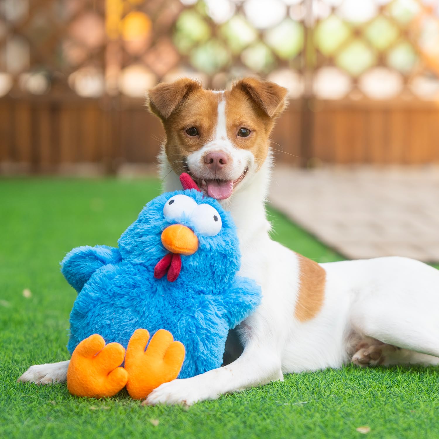 Pet Supplies : Best Pet Supplies Interactive Squeaky Dog Chew Toy, Ideal Dog  Toys for Chewers, Small, Medium & Large Dogs, and Fetch Lovers - Cluck  (Blue), Large : Amazon.com