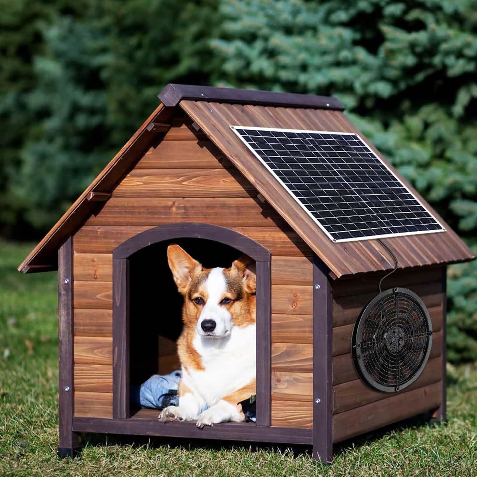 Wentylator solarny |Szybka wentylacja o mocy 20 W dla kurników/szklarni/kurników |Odporny na warunki pogodowe i rdzę wentylator ABS z wirnikiem 25 cm