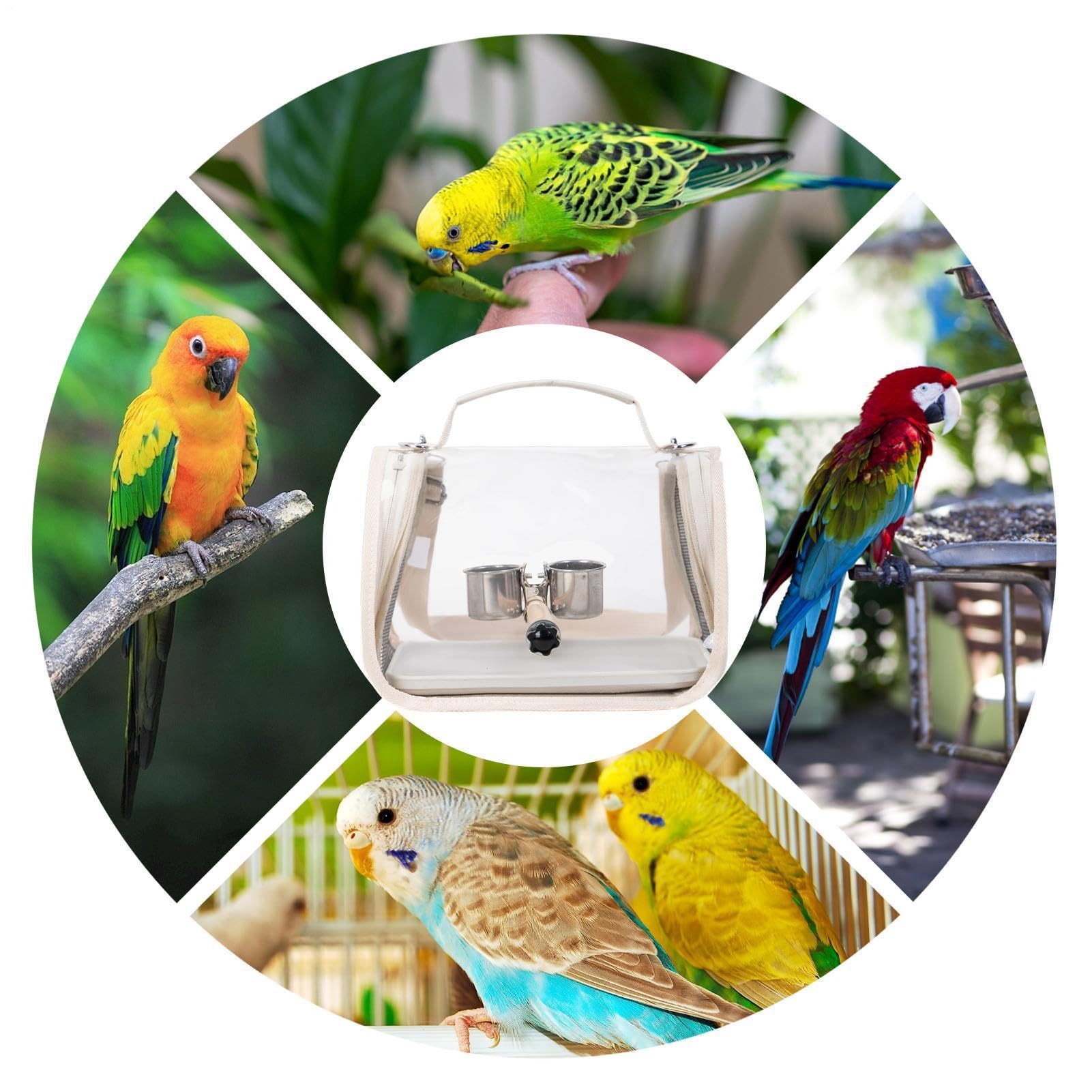 Sac de transport pour oiseaux avec perchoir | Cage légère pour perruches | Pour conure, cacatoès, perroquet, calopsitte, , camping