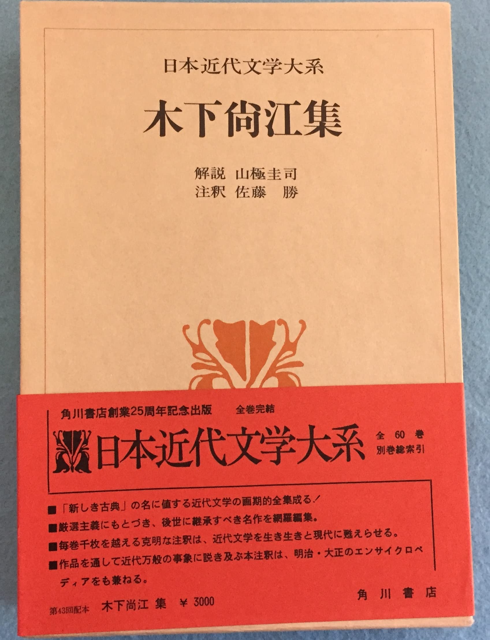 71c1p216W6L.jpg