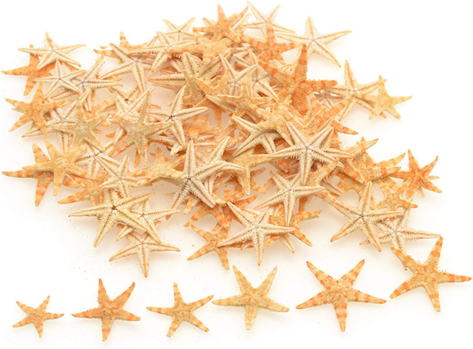 TIHOOD 90PCS 0.4"-1.2" Small Starfish Star Sea Shell Beach Crafts Decor (Yellow)
