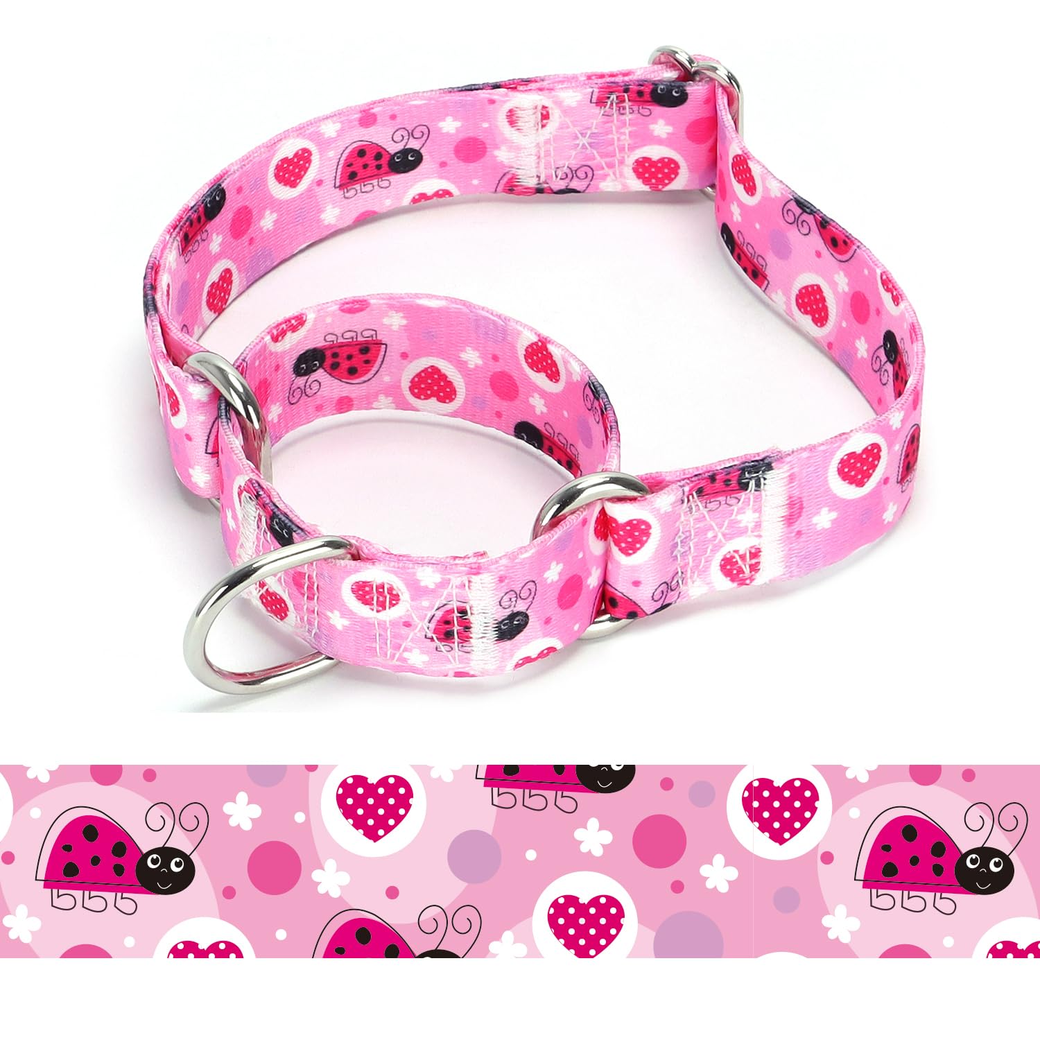 haoyueer Heavy Duty Nylon Adjustable Martingale Dog Collar for Walking Training Boy and Girl Dogs (A85NO7, M:36-45CM)
