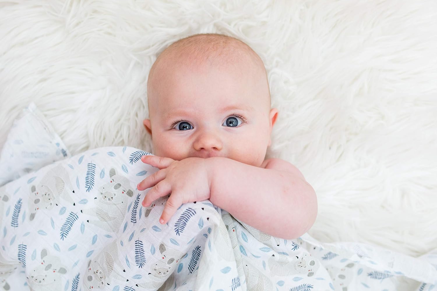 Lulujo Baby Swaddle Blankets| Unisex Soft Breathable Cotton Muslin Large Swaddling Blanket| Neutral Receiving Blanket for Girls & Boys | 47in x 47in| Koala
