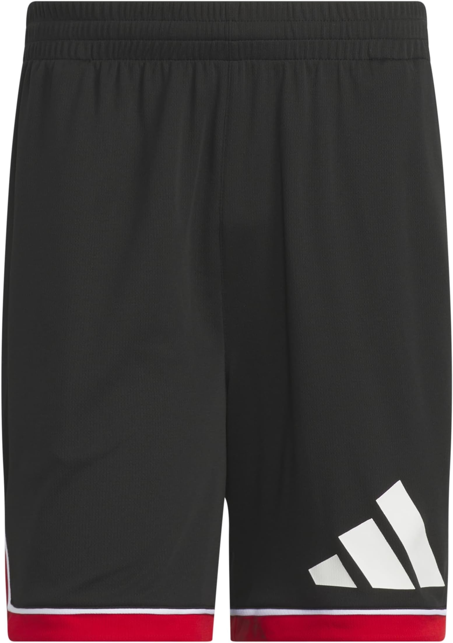 Basketball Badge of Sport Shorts