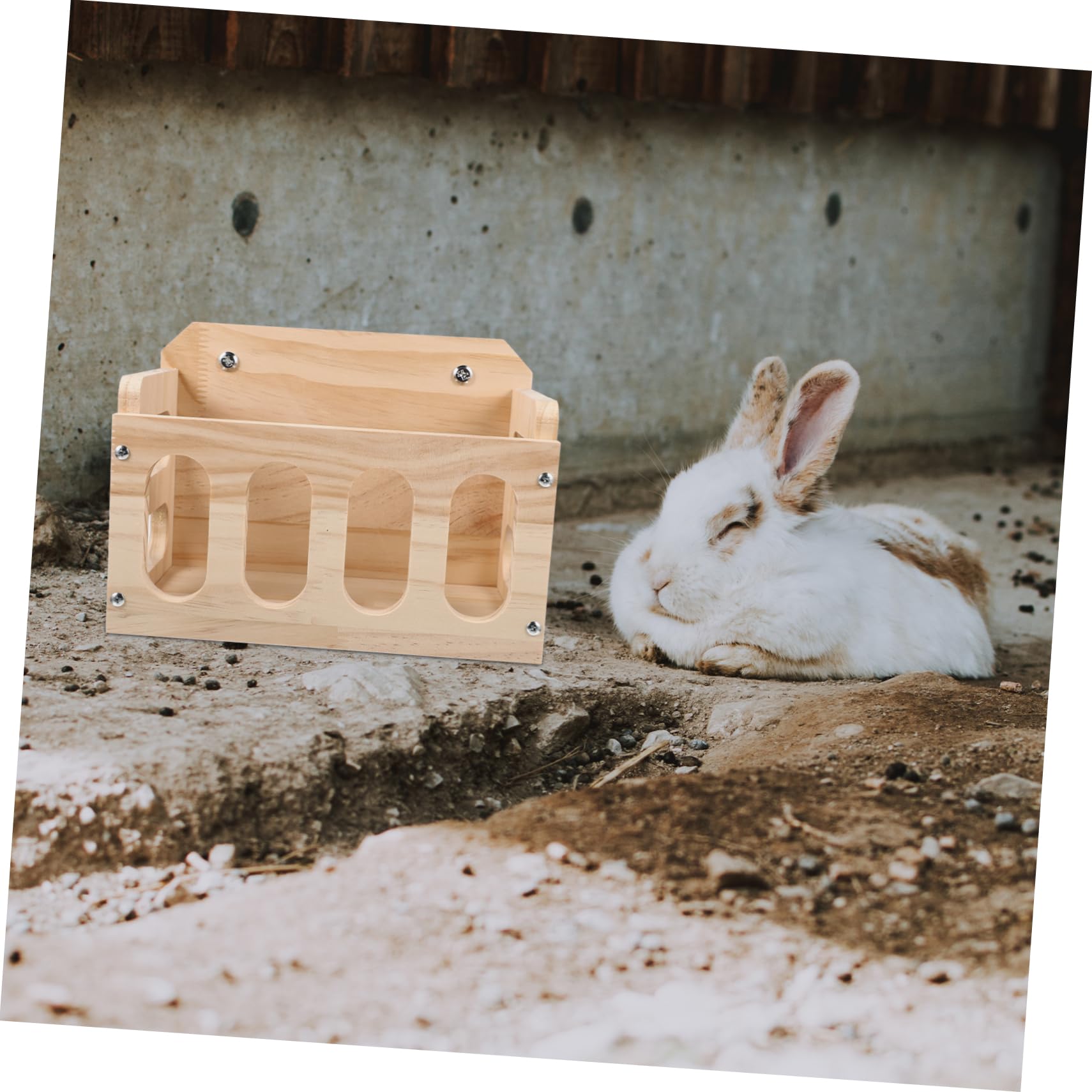 Râtelier à Lapins en Bois Khaki pour Cage, Design Fixe Anti-gaspillage