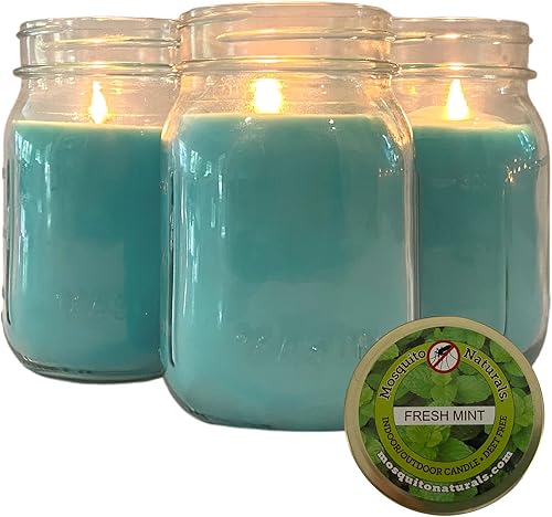 Velas de menta fresca con aceites esenciales, fabricadas en Estados Unidos, (juego de 3) para patio, terraza, uso en exteriores o interiores, 88