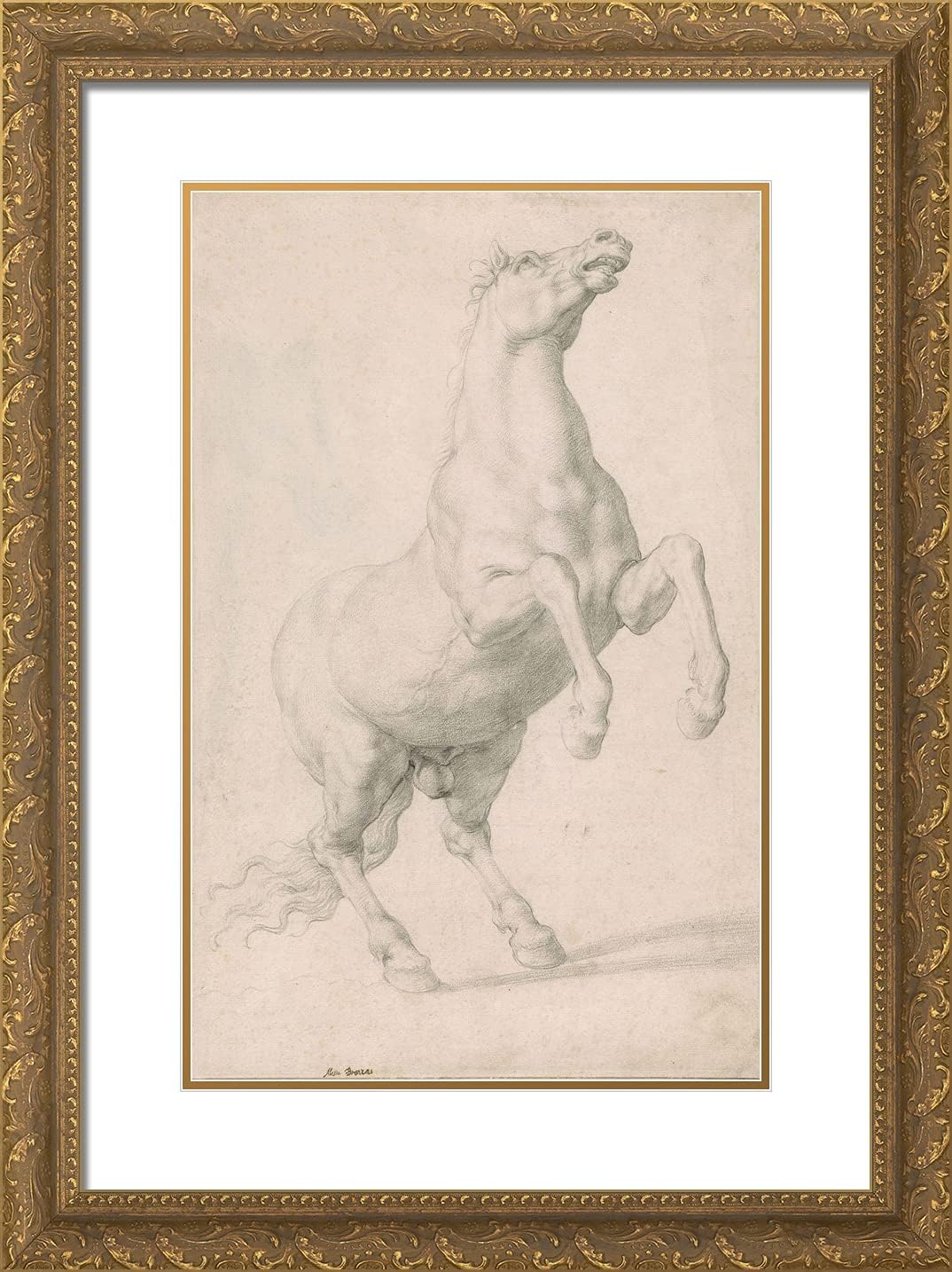 ArtDirect Bronzino, Agnolo 18x24 Black Ornate Framed Art Print with Double Matting Titled: Rearing Stallion