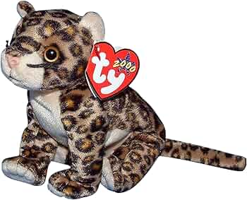 71c2-XgkGfL._AC_UF350,