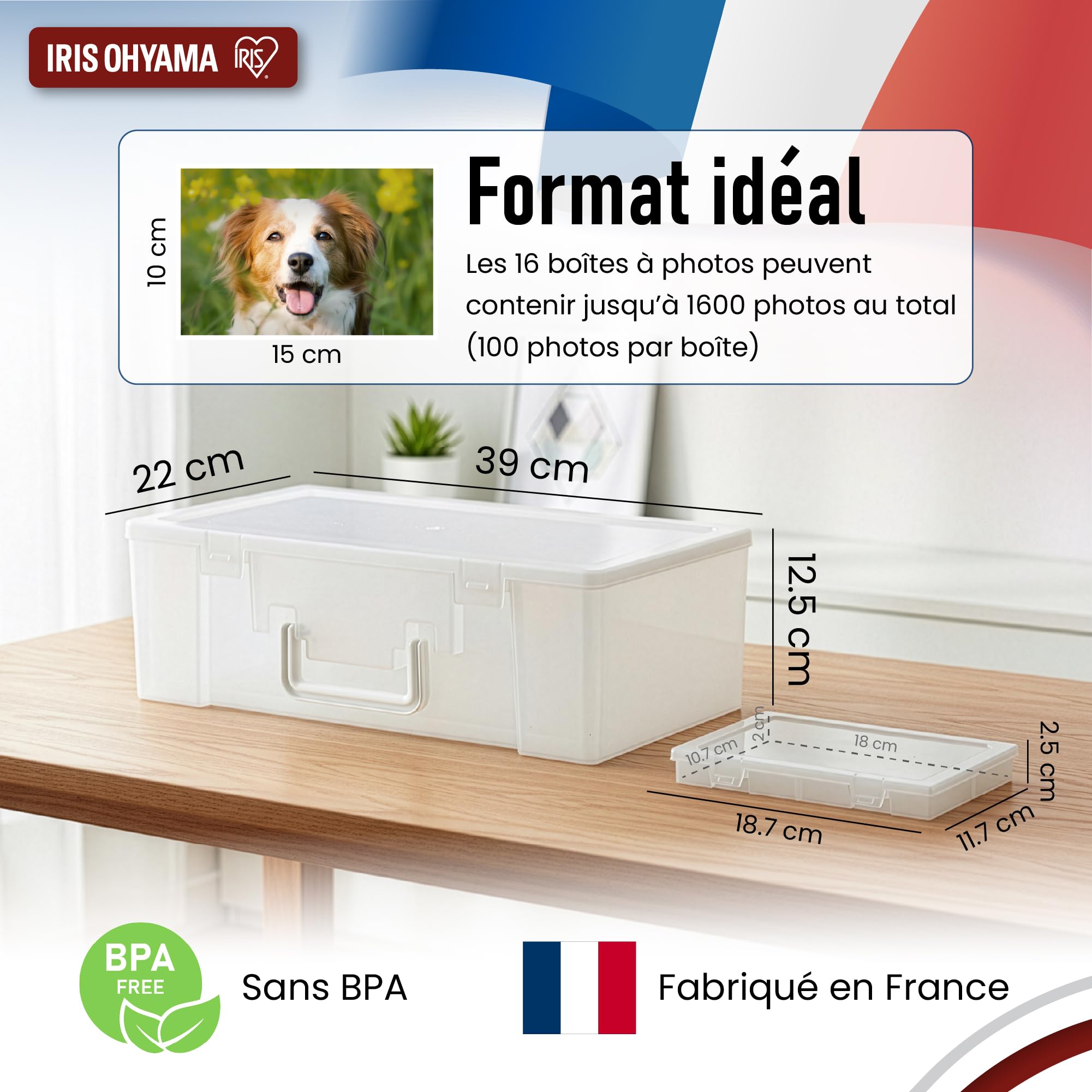 Iris Ohyama, Caja de almacenamiento de fotos con 16 cajas interiores, 2, capacidad 3200 fotos, apilable con asa y cierre seguro, sin BPA, KP-XLPHO16