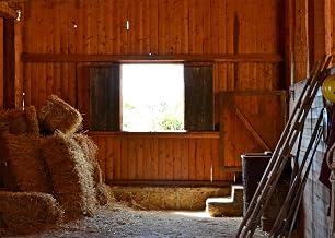 CORFOTO 2,1x1,5m Tissu Cow - boy de l'Ouest Fond Ancienne scène de grange Photographie de fond Cabine en bois baby shower cowboy articles de fête d'anniversaire pour enfants Accessoires de studio