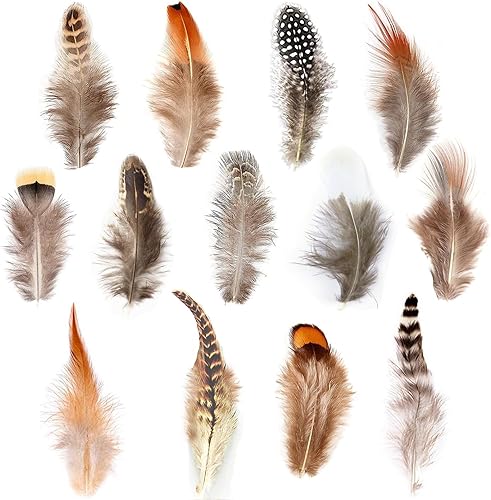 390 plumas naturales de 13 estilos surtidos de plumas para atrapasueños y manualidades (13 estilos390 piezas)