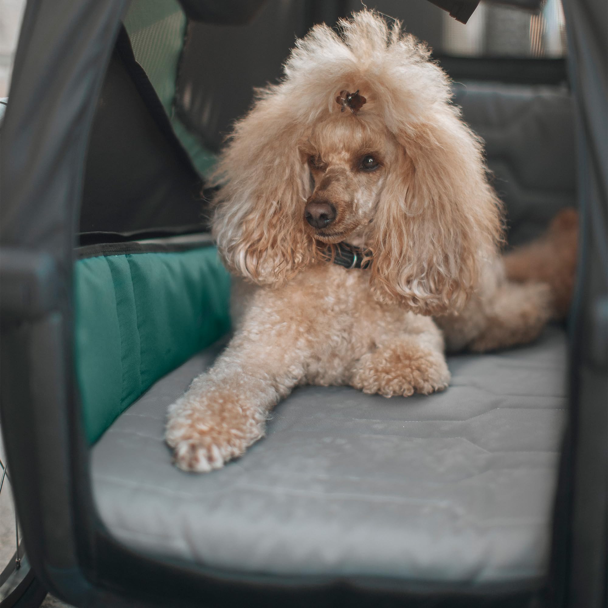 Thule Bexey Dog Bed Hundebett Für Fahrradanhänger Black, Medium