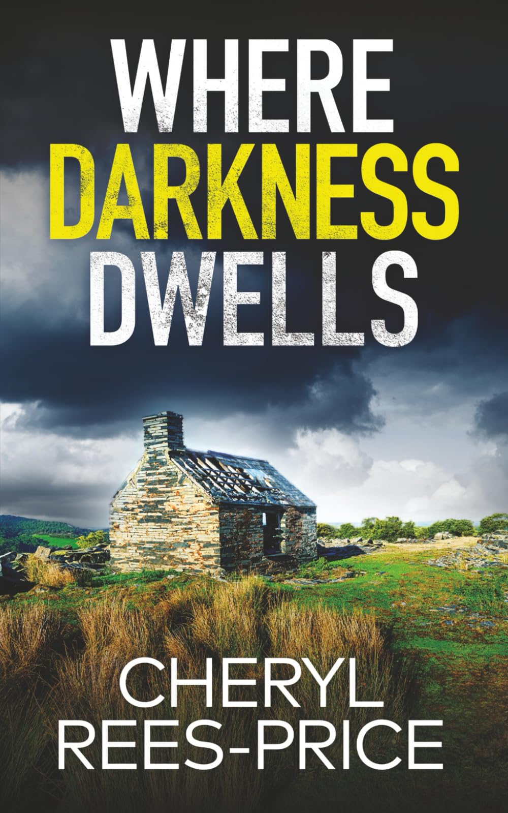 WHERE DARKNESS DWELLS a gripping Welsh mystery full of twists (DI Winter Meadows)