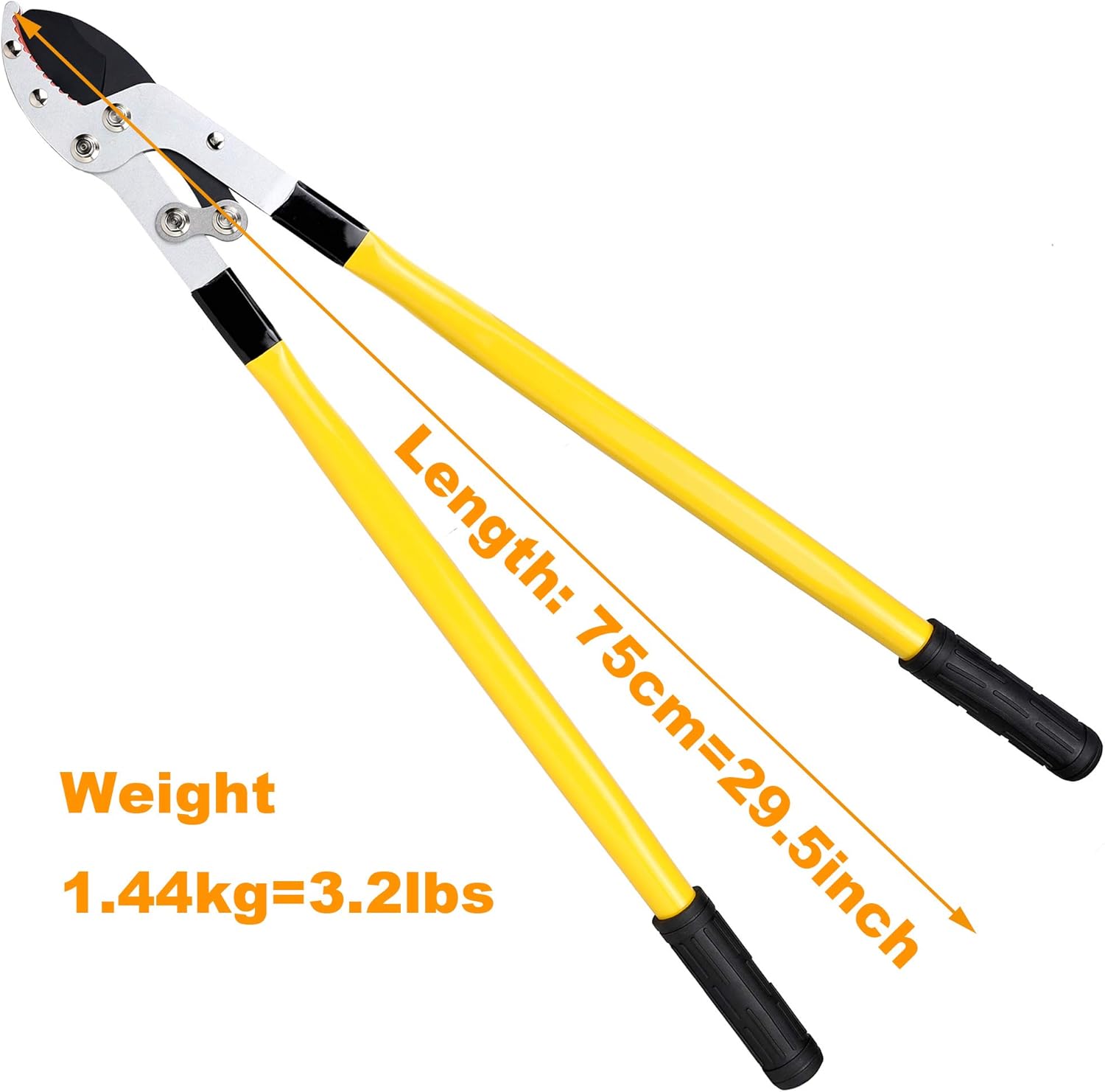 Exсluѕіvе Dіѕсоunt 80% оƒƒеr CyclingDeal Professional Heavy Duty Loppers - Anvil Blade Garden Tree Pruning Shears Loppers - Tree Trimmer Cutter 30 Pruner - Light Weight Cro-Mo Handles - 2 Inch Clean Cut Capacity