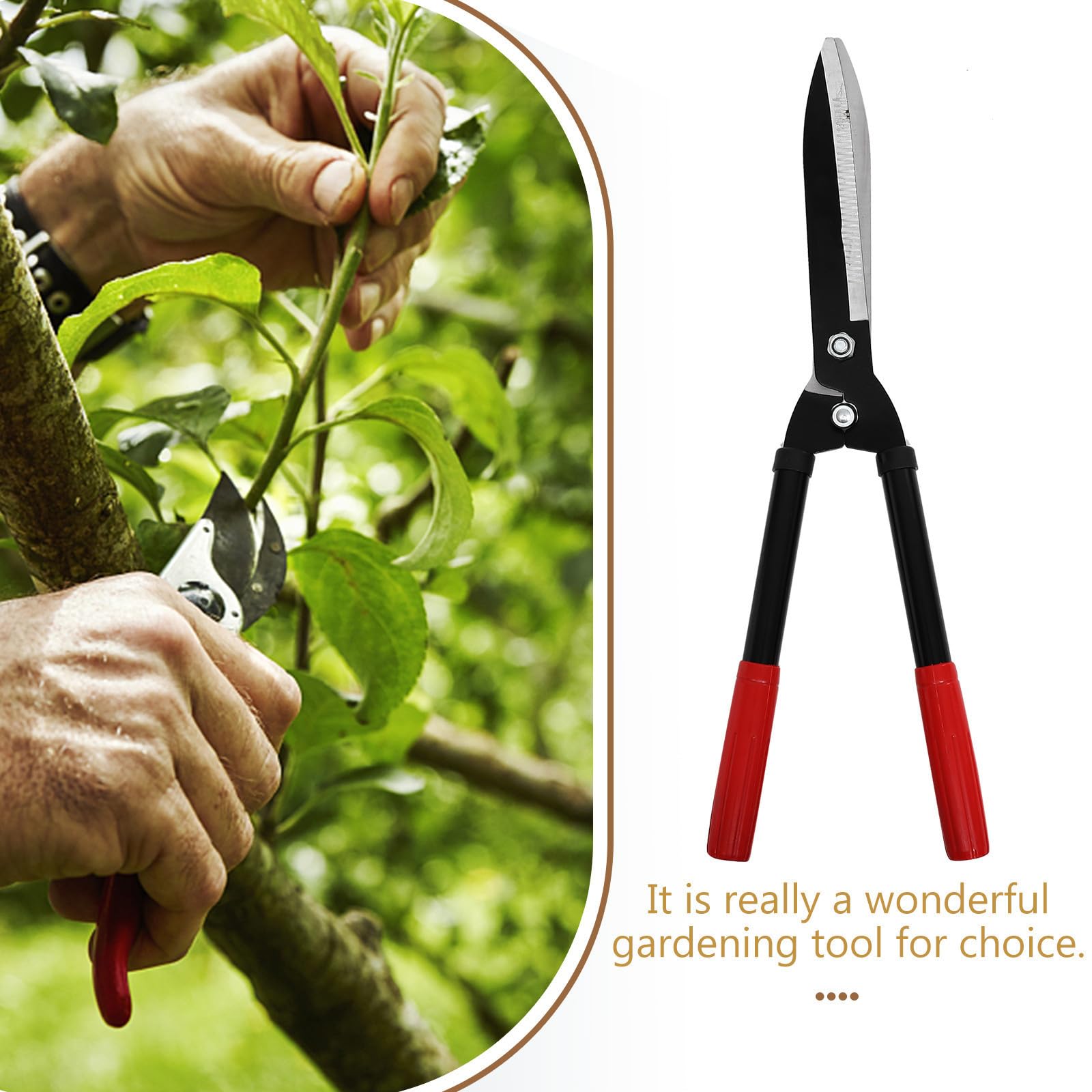 Cisailles de Jardin pour Arbres Fruitiers, Acier au Carbone, Rouge