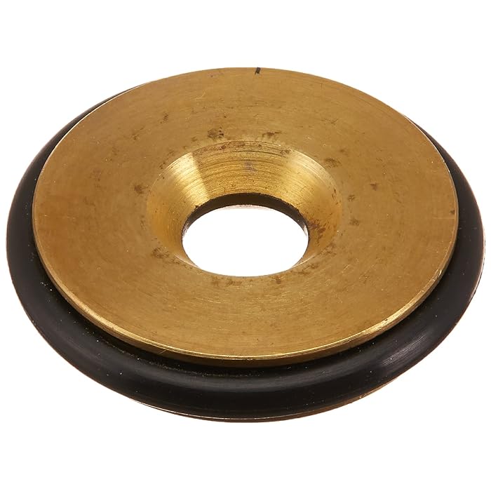 Buy Pentair 460755 Natural to Propane Gas Conversion Replacement Kit