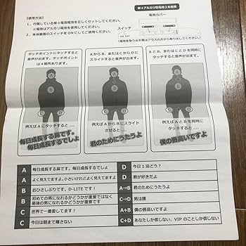 D-LITE テソン DVD＋ボイスキーホルダーセット 2025年最新