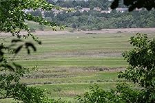 Review Image by Yin Chang