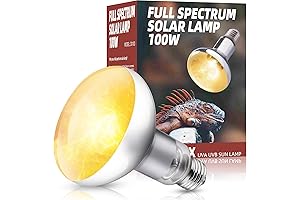 100W Mercury Vapor Bulb: Essential Lighting for Reptile Health
