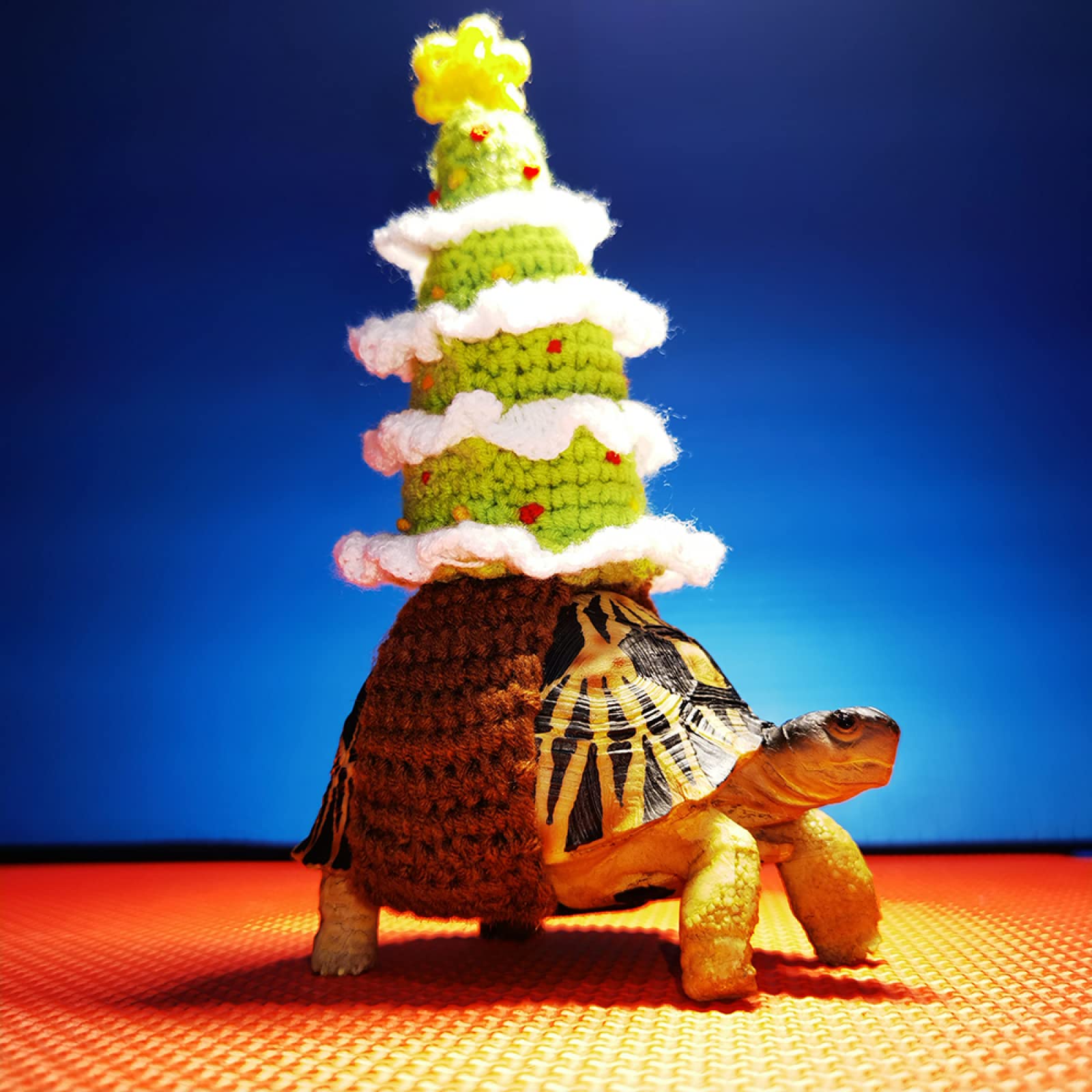 Amazon | 亀用 ペット服 ハーネス 牽引ロープ ペットリード ソフト