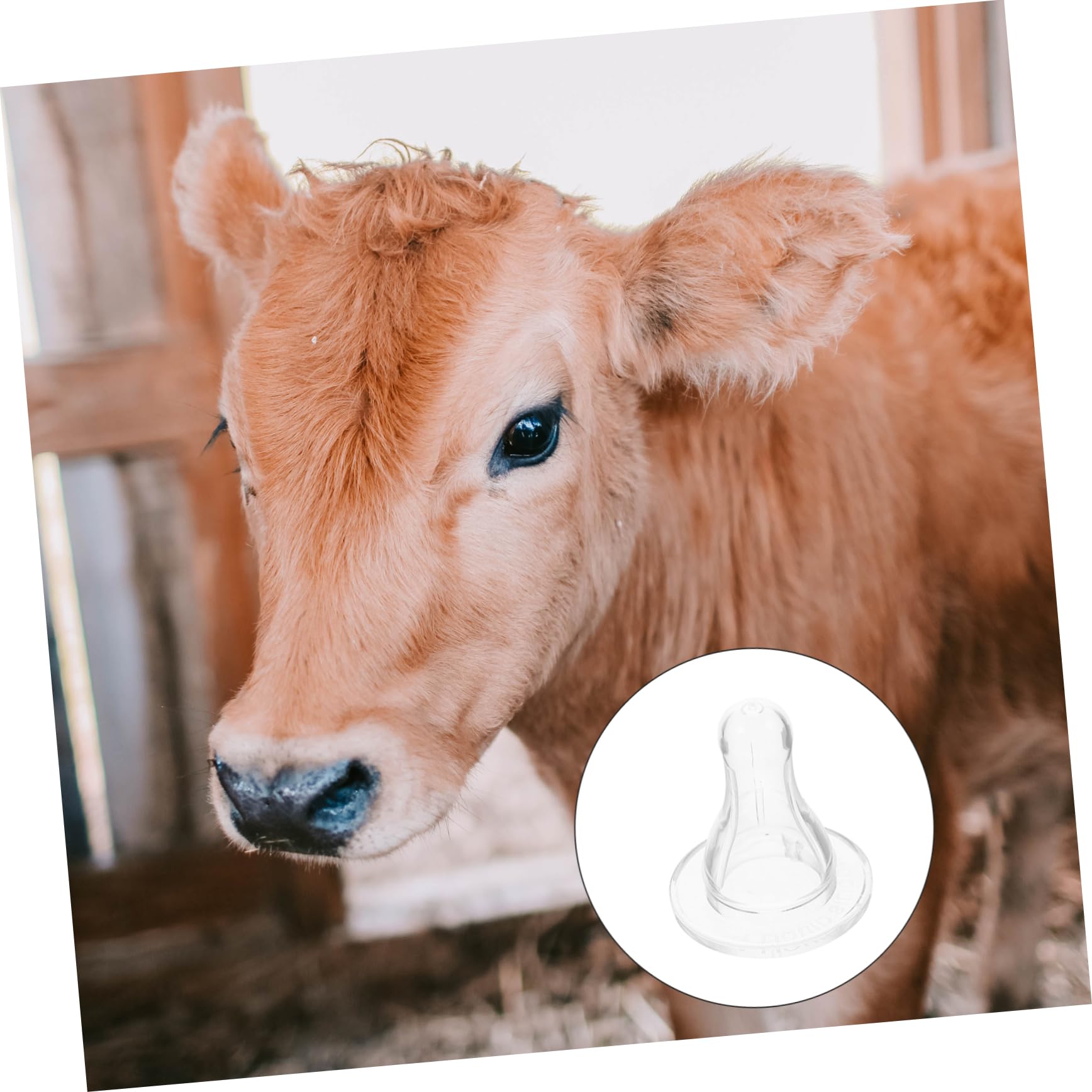 KESYOO 3sets Baby Nipple Feeder Nipples for Bottle Soft for Small Animal Feeders 10pcs*3