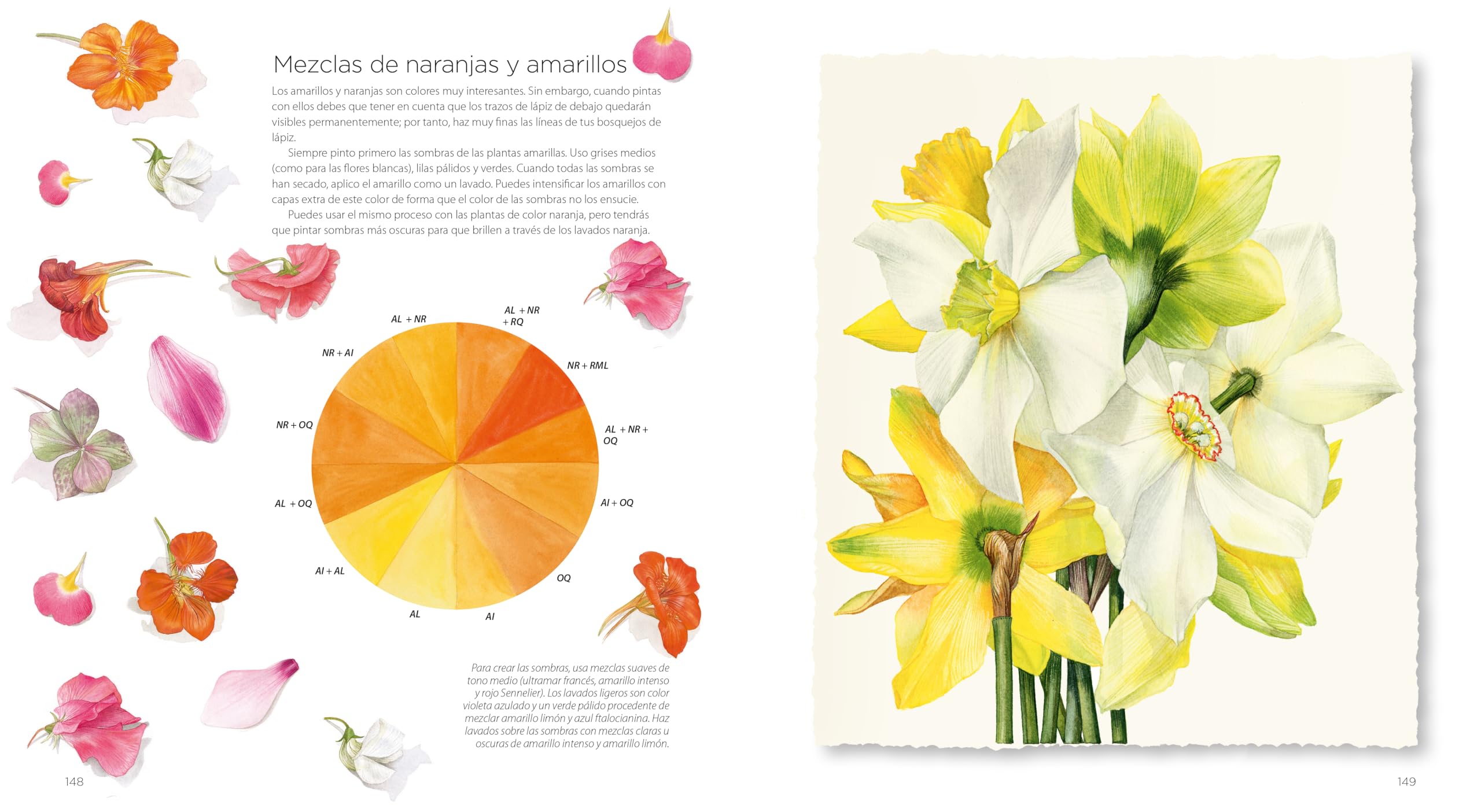 PINTURA BOTÁNICA: Aprende a pintar flores y plantas con acuarela