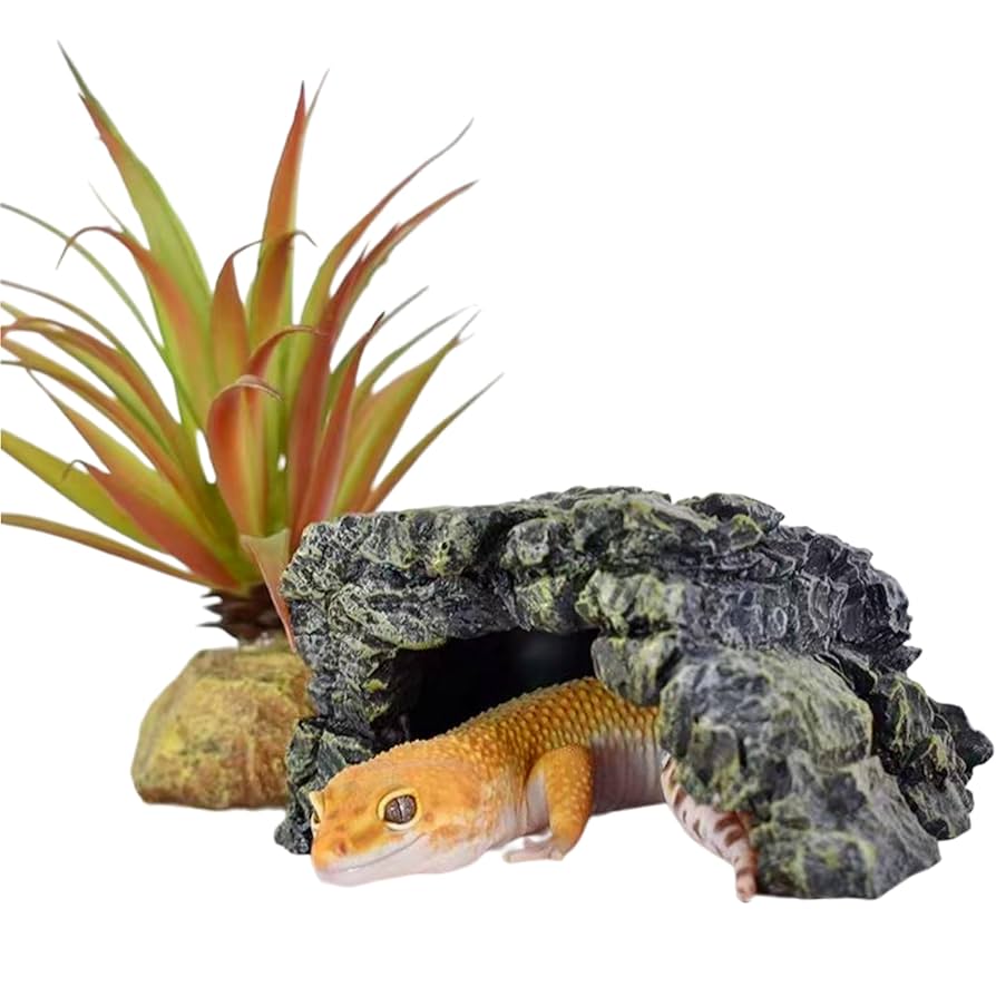 爬虫類 シェルター レオパ ニシアフ ウェットシェルター ボーダー M 新品 爬虫類 シェルター レオパ ニシアフ ウェットシェルター