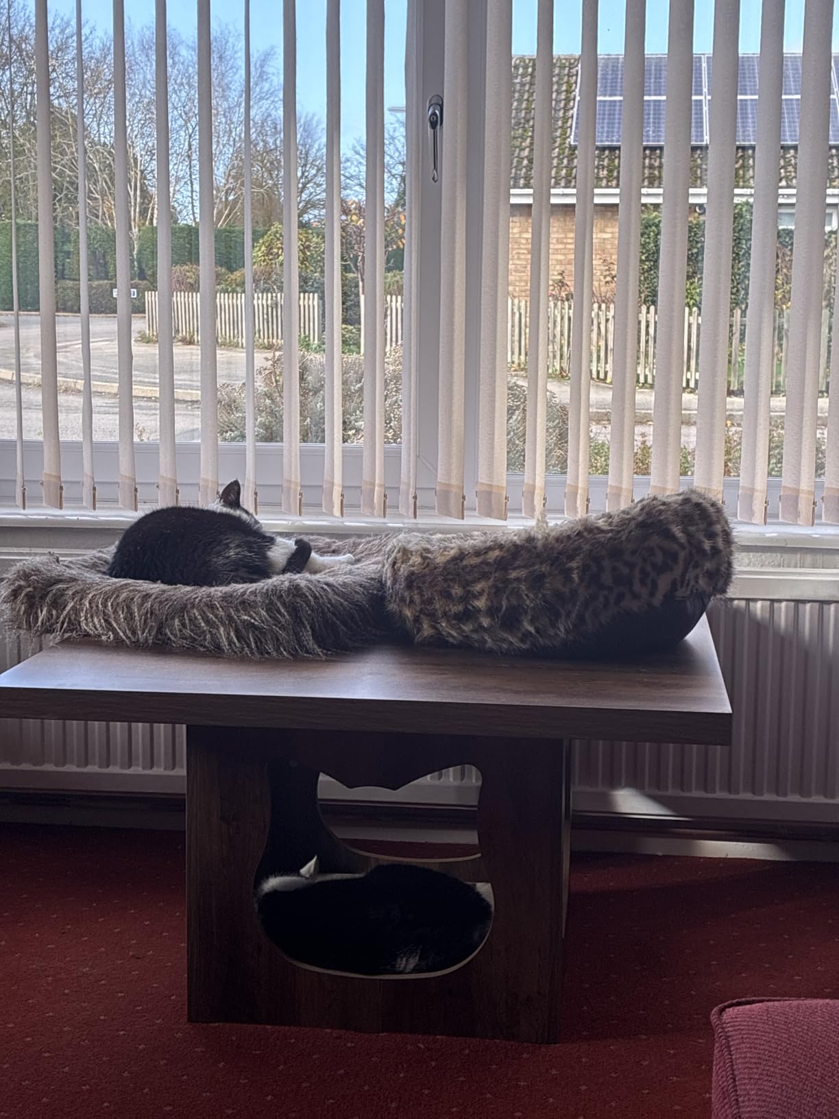Customer photo