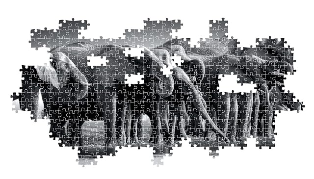 Foto 5 de 8 de Clementoni Puzzle Collection Herd of Giants