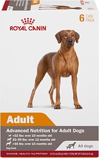 Royal Canin Canine Health Nutrition Adult In Gel Dog Food, 13.5 oz (Pack of 6)
