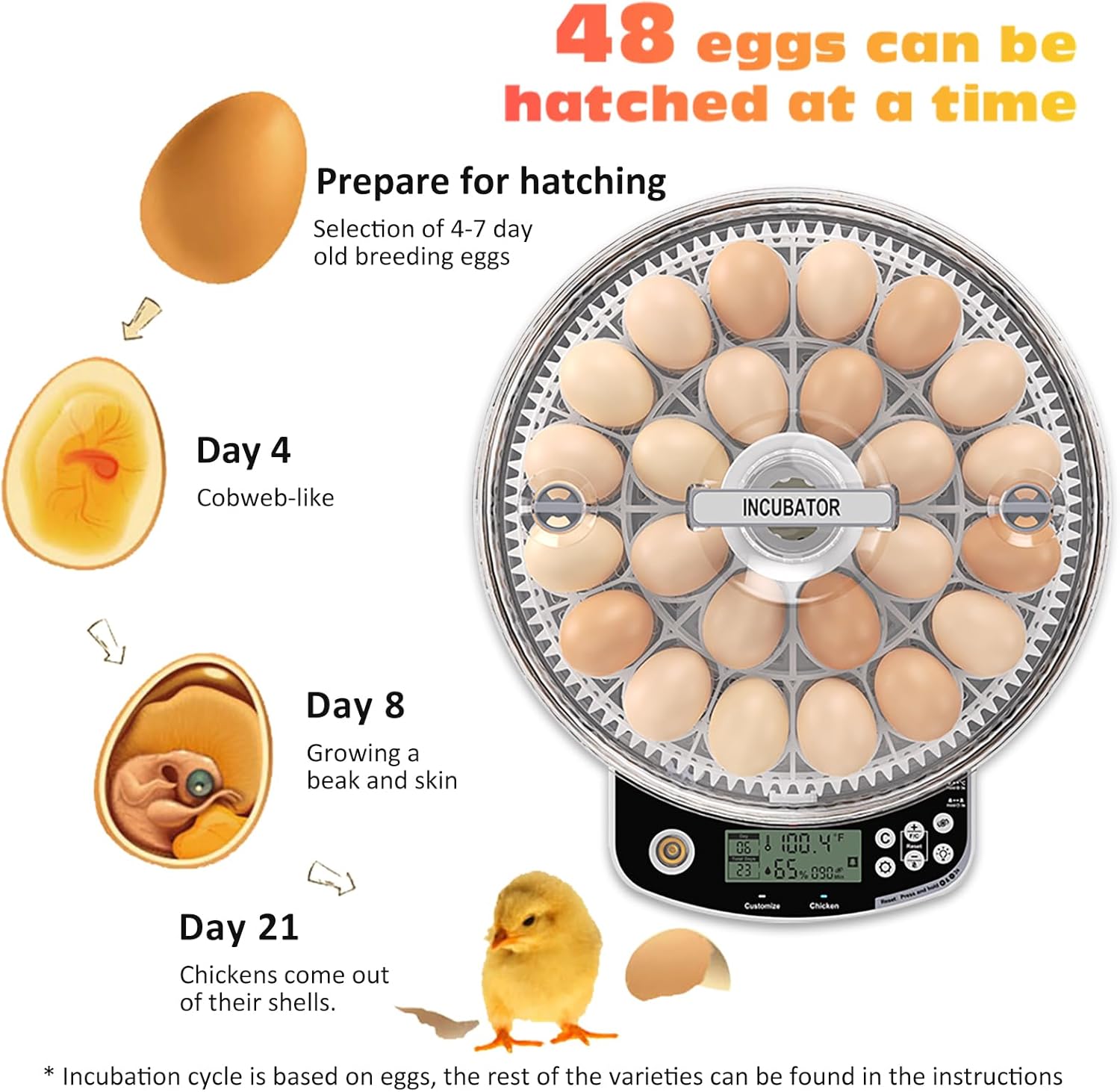 18 Incubators for Hatching Eggs, Egg Incubator with Automatic Egg Turning and Humidity Control, Intelligent Egg Incubator with Automatic Temp. Adjustment (18)