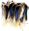 50Pcs Natural Feathers for Crafts 4-6inch(10-15cm)DIY Carnival Halloween Handwork Clothing Costumes Hair Hats Crafts Home Wedding Party Decoration Duck Feathers