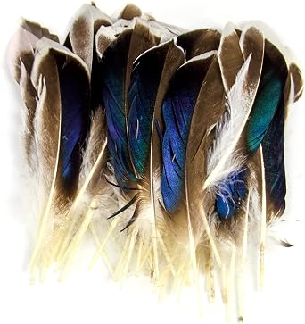 50Pcs Natural Feathers for Crafts 4-6inch10-15cmDIY Carnival Halloween Handwork Clothing Costumes Hair Hats Crafts Home Wedding Party Decoration Duck Feathers