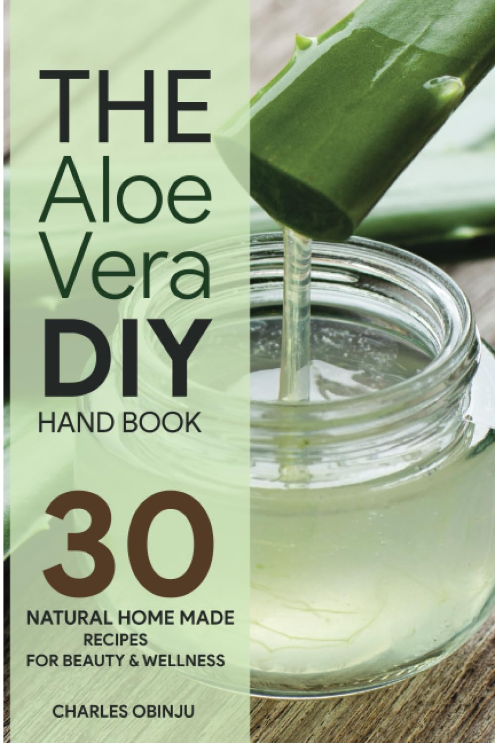 The Aloe Vera DIY Handbook: 30 Home Made Recipes For Beauty and Wellness