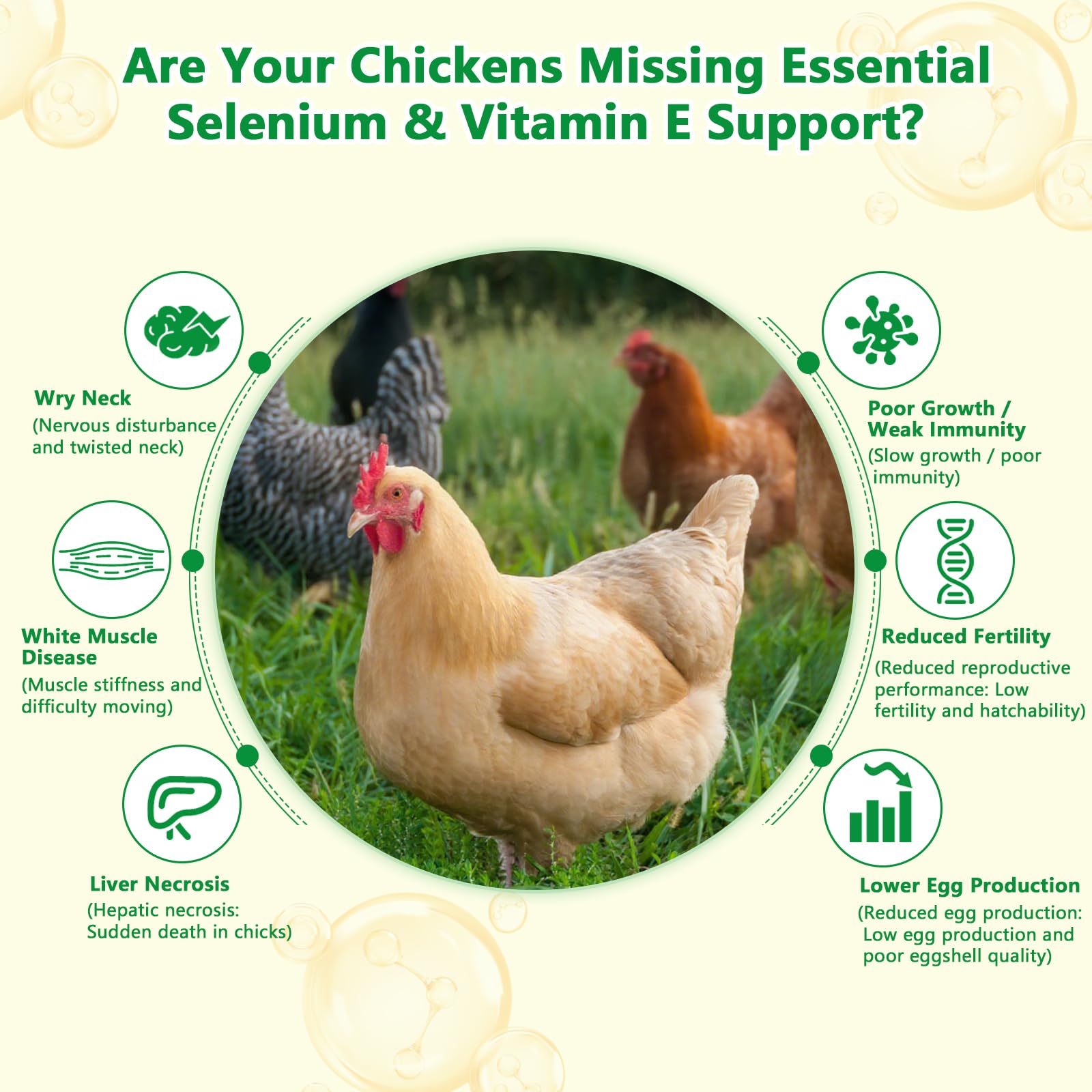 Selenium and Vitamin E Powder for Chickens, Selenium for Chickens, Immune System, Muscle Support & Prevents, Improve Wry Neck, Selenium, Vitamin E Supplements, Suitable for All Poultry, Chicken & More — Amazon image 3
