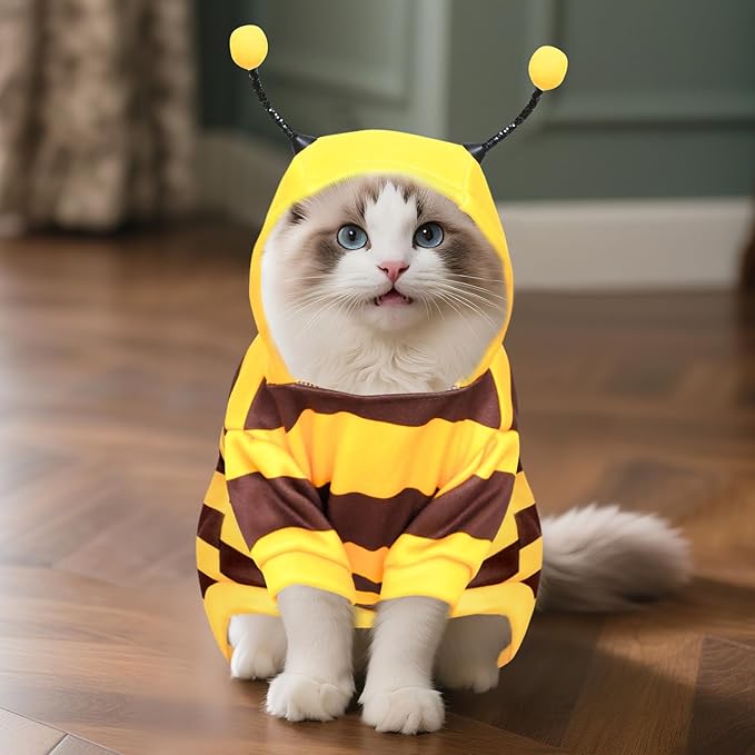 Sudadera de Abeja para Perro Pequeño, Disfraz Halloween Mascota miniatura 5
