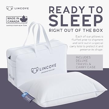 Lincove Canadian Down Feather Travel Pillow - Plush Luxury Pillows to Support Head, Neck, While Sleeping on Airplanes, Cars, Camping, Hotels & Home, 12x16 - 2 Pack
