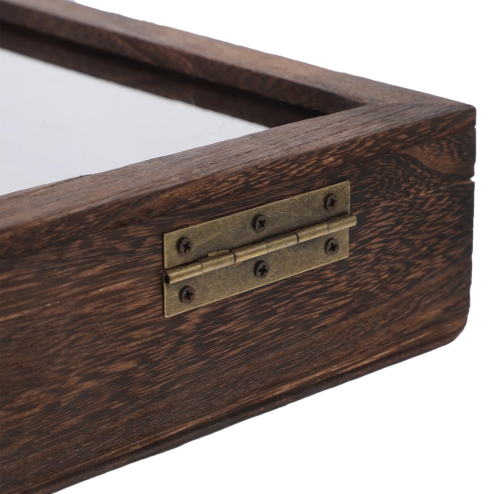 Holz Präparations Showbox mit Transparenter Abdeckung, Braun | Rechteckige Vitrine für Schmetterlinge und Pflanzen, Große Kapazität, Schützt Mehrere Exemplare