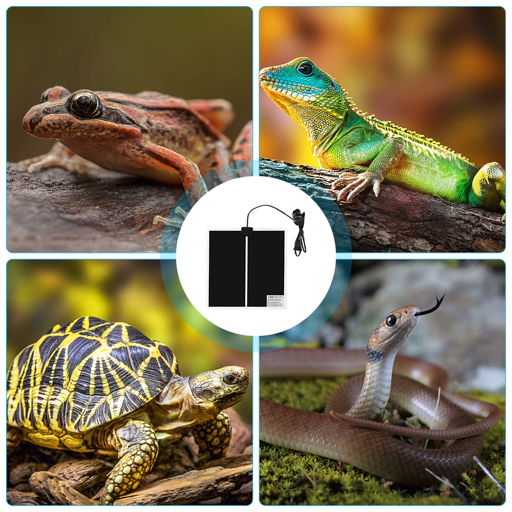 Manta Termica Reptiles Ajustable, 14W Manta Termica Terrario con Control de Temperatura Reptil Heat Mat para Reptiles Tortuga Serpientes Lagarto Araña Geckos (28 * 28cm)