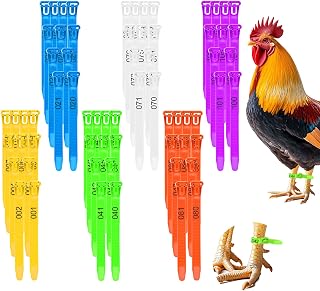 Numbered chicken leg bands in six colors