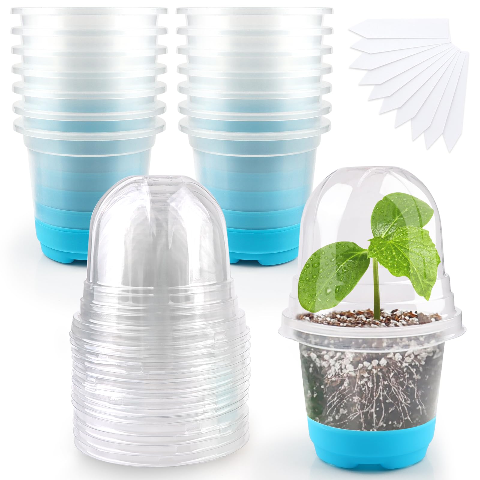 24 Pièces Pots De Pépinière Transparents Avec Silicone Base, 10Cm Carré