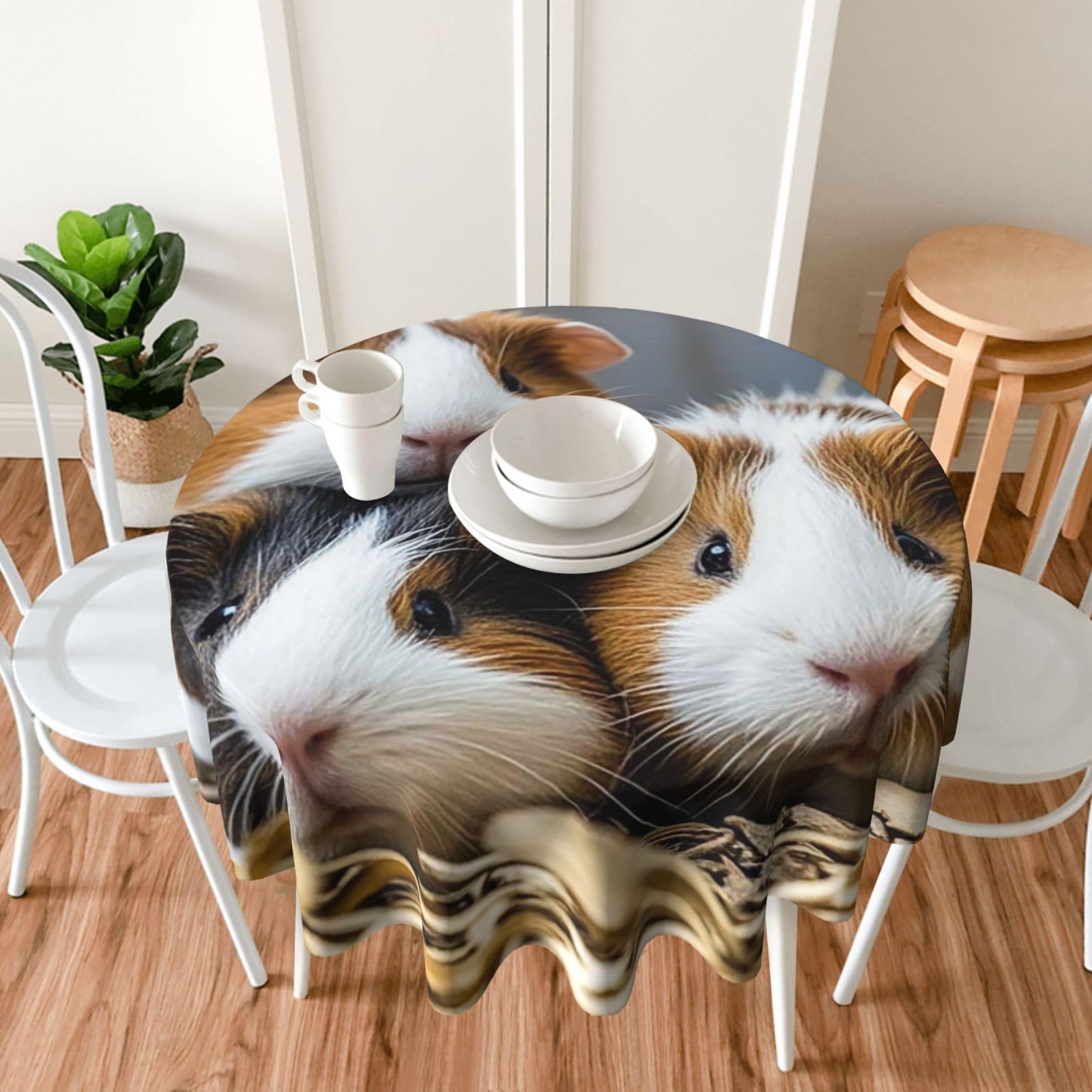 PAQOLSMCKR Round Tablecloth 152cm Waterproof Spill-Proof Table Cloth guinea pigs Tablecloths Wrinkle Free Decorative Farmhouse Table Covers for Dining Party Wedding