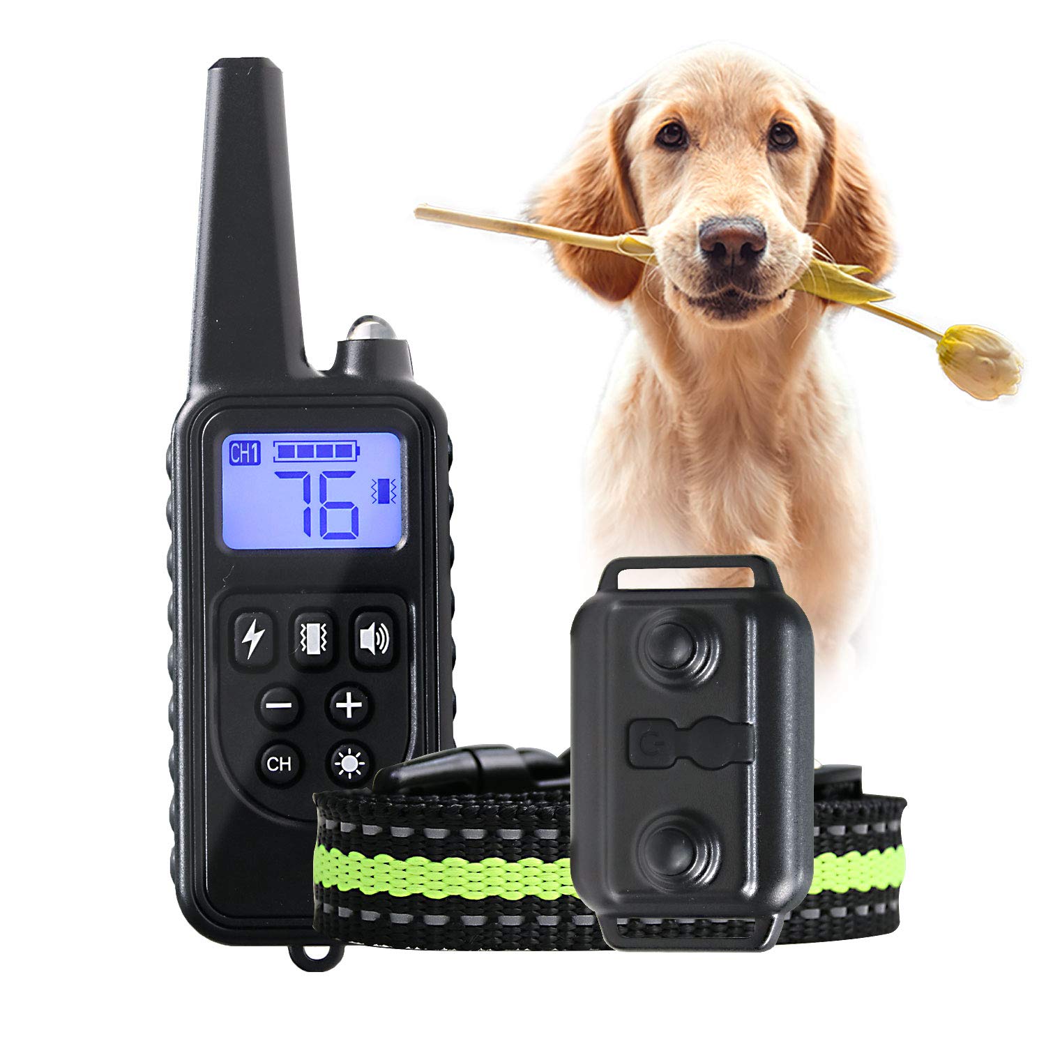 dog shock collar range