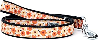 The Worthy Dog Fleurs Dog Leash Comfortable Nylon Webbing, Leashes for Walking, Durable Lead Yellow - Large