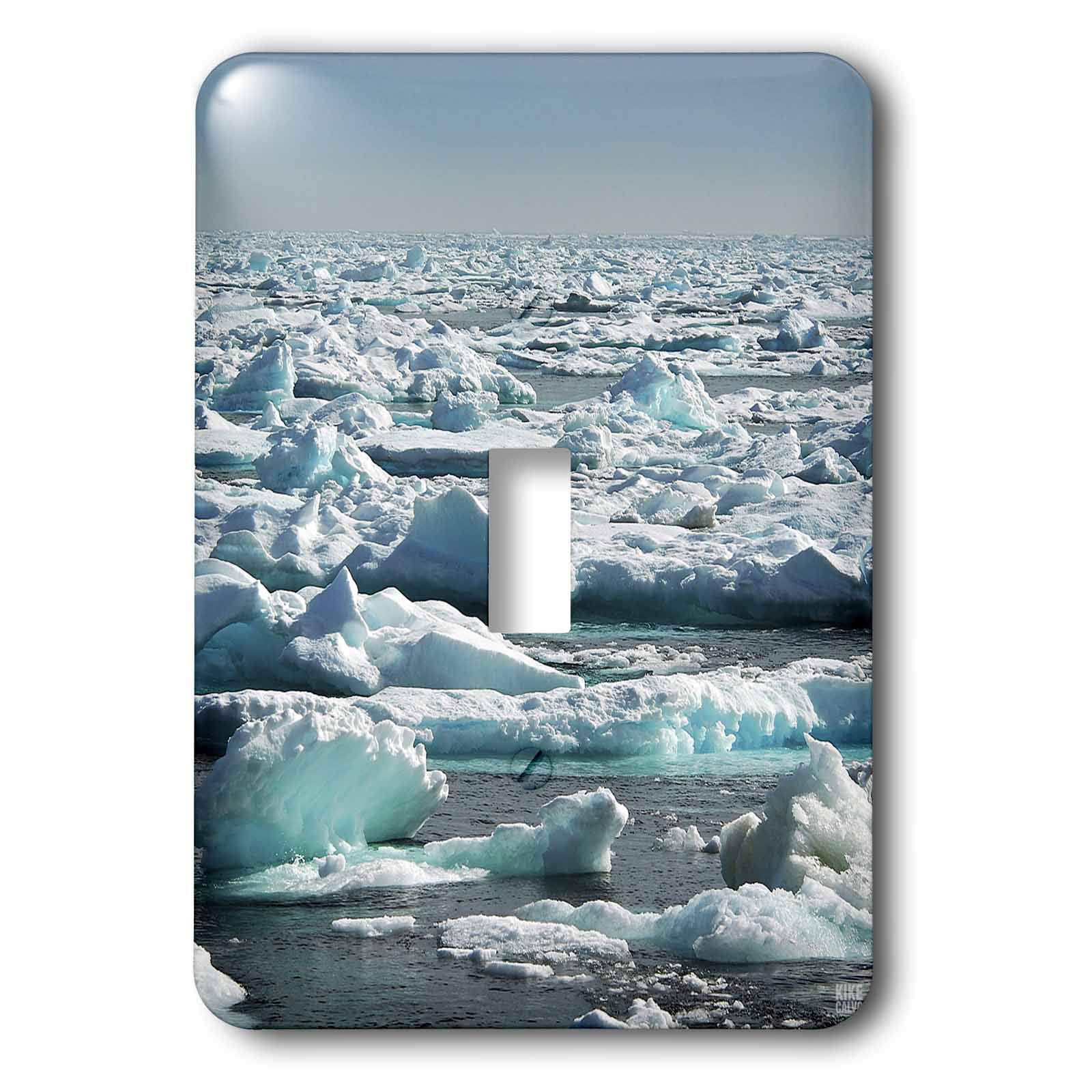 3dRose lsp_37689_1 Ice Covering The Ocean Surface at Lower