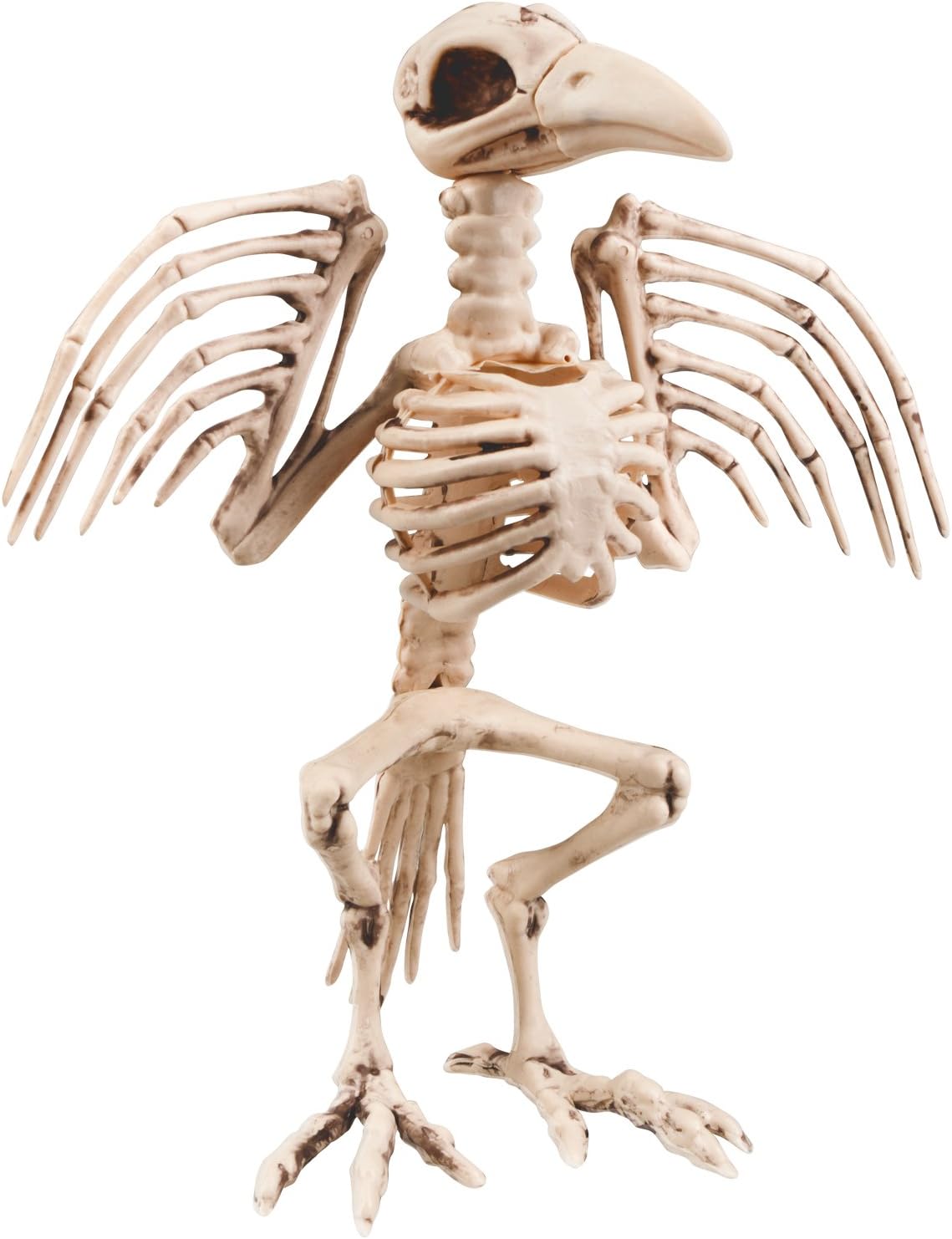 Boland 32 Cm Crow Skeleton Decoration, Large Halloween Bird Skeleton Prop for Haunted House Spooky Party Décor