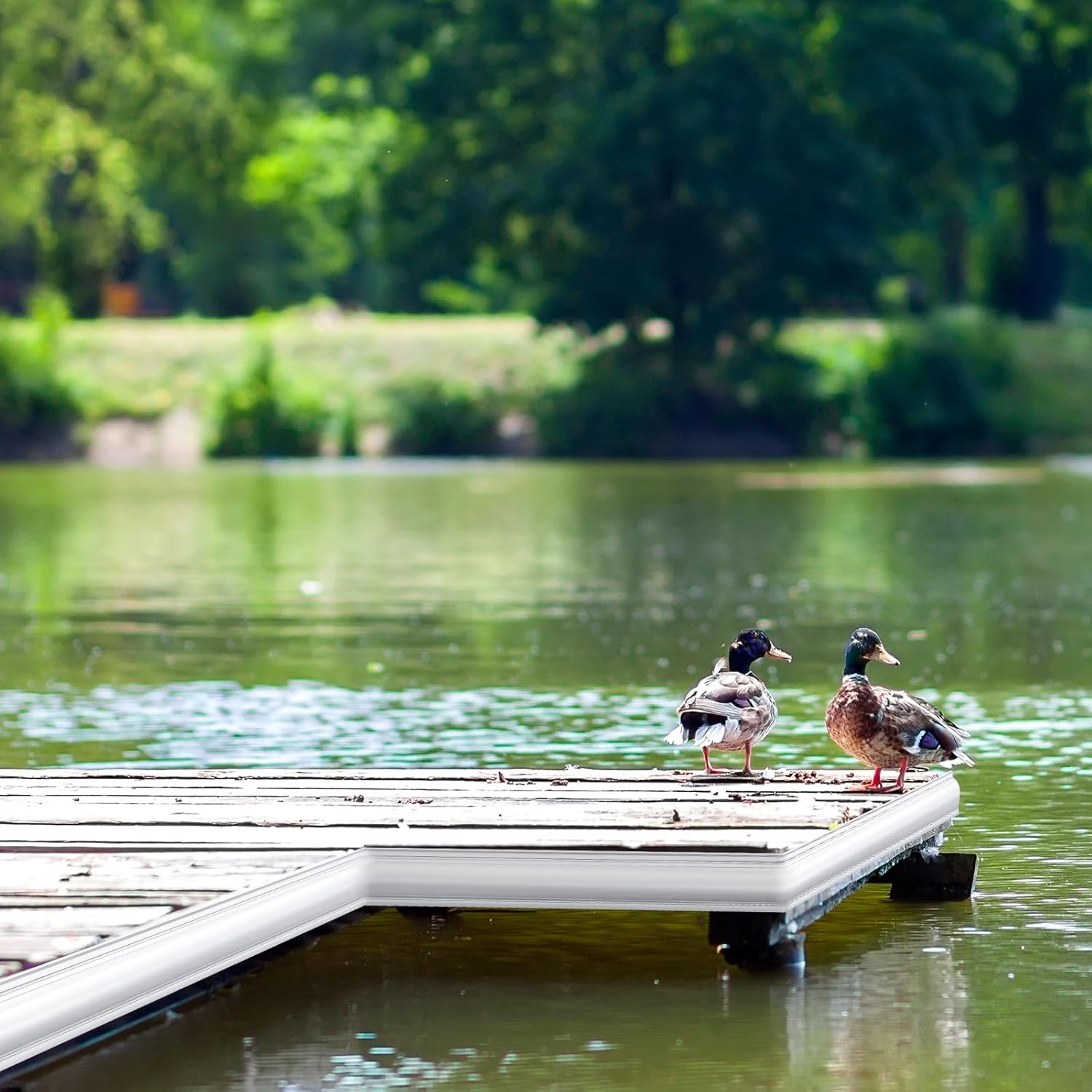 Frienda 16 Ft Standard D Dock Bumpers, Full Face Edging Side Gard PVC Profile Dock Guard for Straight Edge and Side Full Protection Boat Protection, White