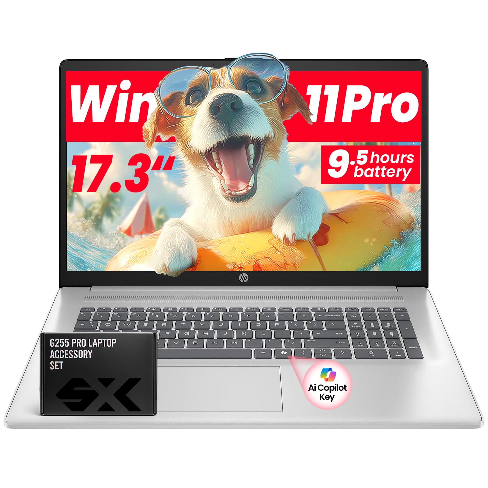 Amazon.com: HP Flagship 17 FHD Laptop for Student & Business