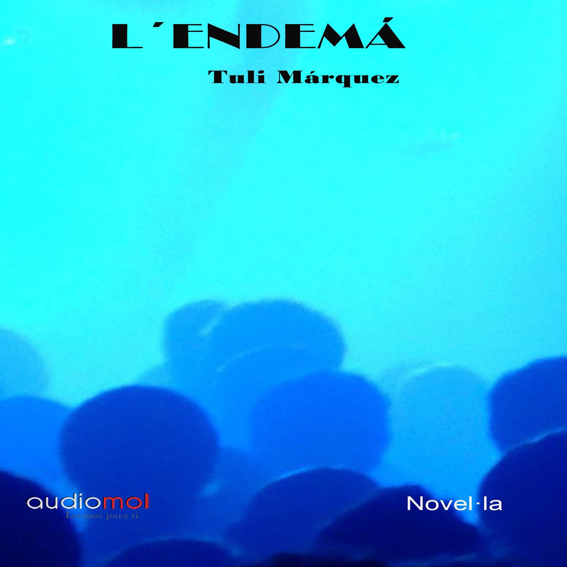 L´Endemá [The Next Day] (Audiolibro en Catalán)